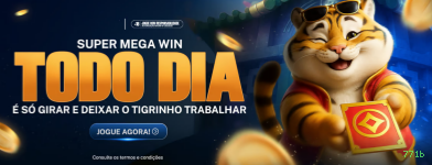 Experiência VIP 771b